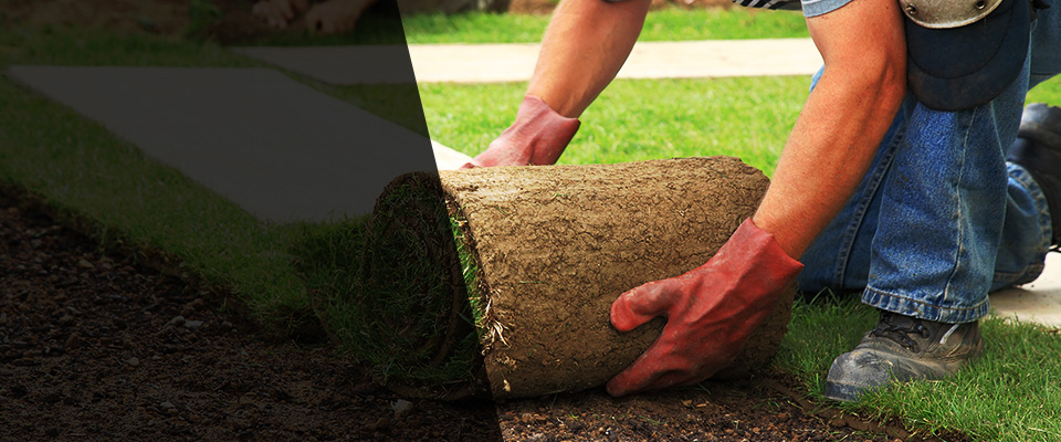 Krum Landscapers